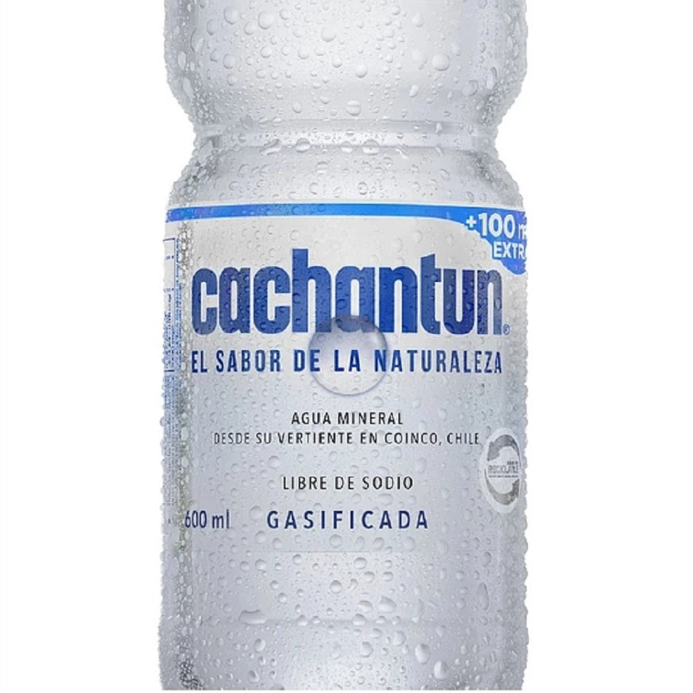 Agua Mineral Con Gas 600 Ml