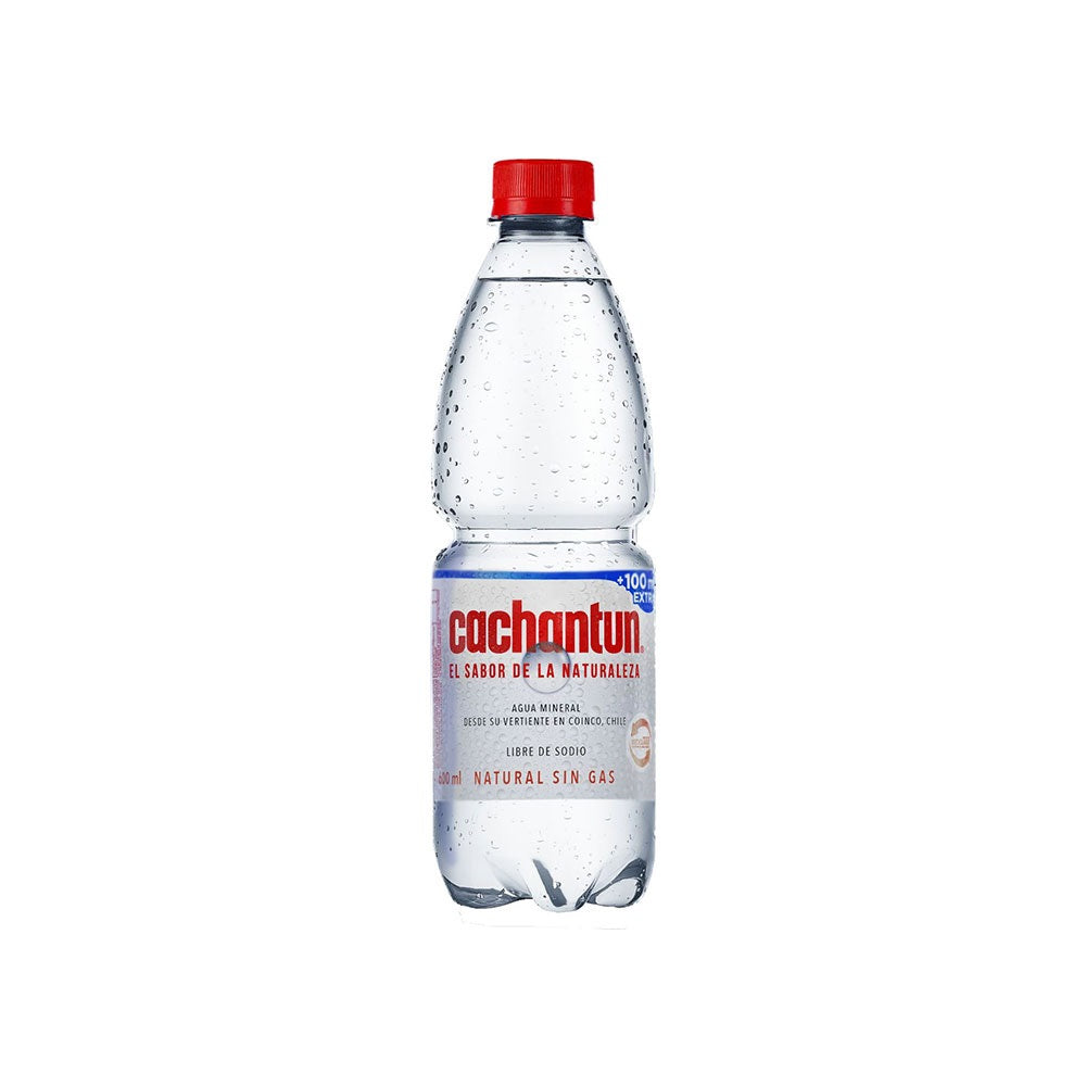 Agua Mineral Sin Gas 600 Ml